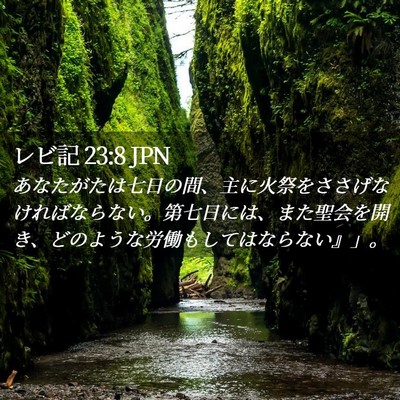 Picture 02 - レビ記 23:8 JPN - あなたがたは七日の間、主に火祭を - Bible Verse Picture