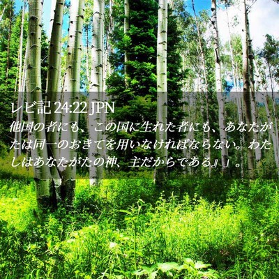 Picture 02 - レビ記 24:22 JPN - 他国の者にも、この国に生れた者に - Bible Verse Picture