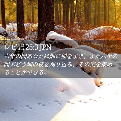 Picture 02 - レビ記 25:3 JPN - 六年の間あなたは畑に種をまき、ま - Bible Verse Picture