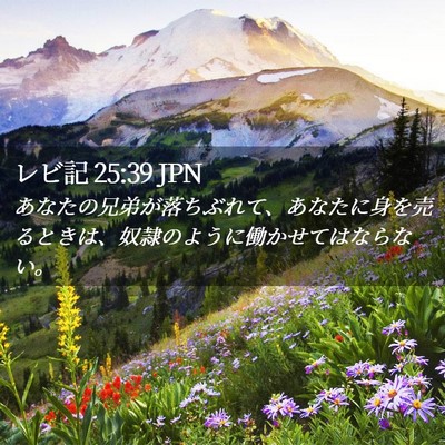 Picture 02 - レビ記 25:39 JPN - あなたの兄弟が落ちぶれて、あなた - Bible Verse Picture