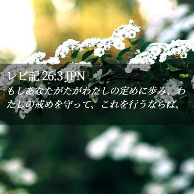 Picture 02 - レビ記 26:3 JPN - もしあなたがたがわたしの定めに歩 - Bible Verse Picture