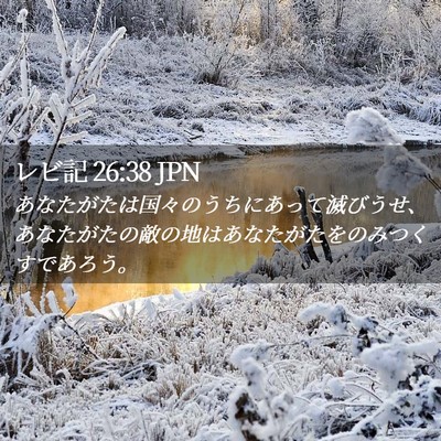 Picture 02 - レビ記 26:38 JPN - あなたがたは国々のうちにあって滅 - Bible Verse Picture