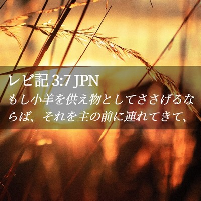 Picture 02 - レビ記 3:7 JPN - もし小羊を供え物としてささげるな - Bible Verse Picture