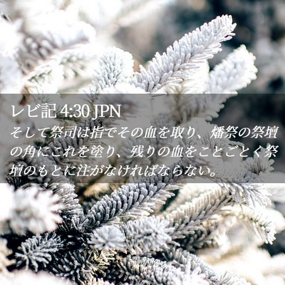 Picture 02 - レビ記 4:30 JPN - そして祭司は指でその血を取り、燔 - Bible Verse Picture