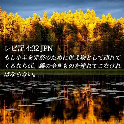 Picture 02 - レビ記 4:32 JPN - もし小羊を罪祭のために供え物とし - Bible Verse Picture