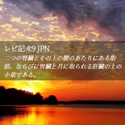 Picture 02 - レビ記 4:9 JPN - 二つの腎臓とその上の腰のあたりに - Bible Verse Picture