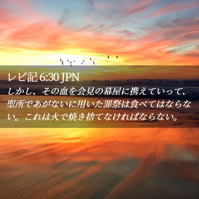 Picture 02 - レビ記 6:30 JPN - しかし、その血を会見の幕屋に携え - Bible Verse Picture