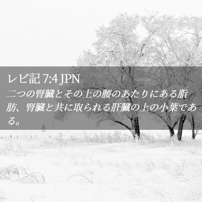 Picture 02 - レビ記 7:4 JPN - 二つの腎臓とその上の腰のあたりに - Bible Verse Picture