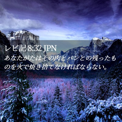 Picture 02 - レビ記 8:32 JPN - あなたがたはその肉とパンとの残っ - Bible Verse Picture
