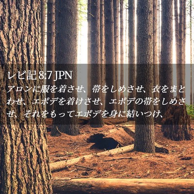 Picture 02 - レビ記 8:7 JPN - アロンに服を着させ、帯をしめさせ - Bible Verse Picture
