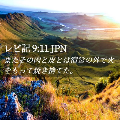 Picture 02 - レビ記 9:11 JPN - またその肉と皮とは宿営の外で火を - Bible Verse Picture