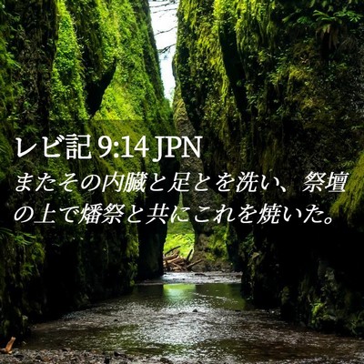 Picture 02 - レビ記 9:14 JPN - またその内臓と足とを洗い、祭壇の - Bible Verse Picture