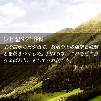 Picture 02 - レビ記 9:24 JPN - 主の前から火が出て、祭壇の上の燔 - Bible Verse Picture