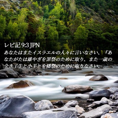 Picture 02 - レビ記 9:3 JPN - あなたはまたイスラエルの人々に言 - Bible Verse Picture