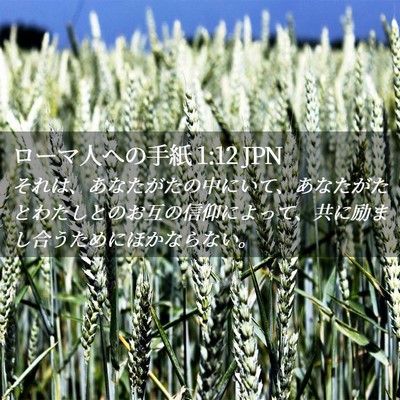 Picture 02 - ローマ人への手紙 1:12 JPN - それは、あなたがたの中にいて、あ - Bible Verse Picture