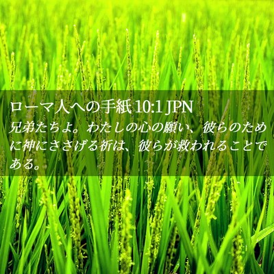 Picture 02 - ローマ人への手紙 10:1 JPN - 兄弟たちよ。わたしの心の願い、彼 - Bible Verse Picture
