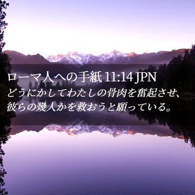 Picture 02 - ローマ人への手紙 11:14 JPN - どうにかしてわたしの骨肉を奮起さ - Bible Verse Picture