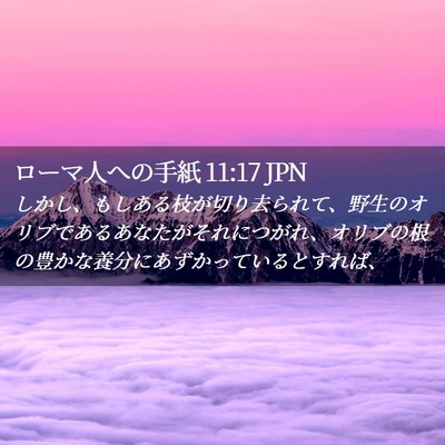 Picture 02 - ローマ人への手紙 11:17 JPN - しかし、もしある枝が切り去られて - Bible Verse Picture