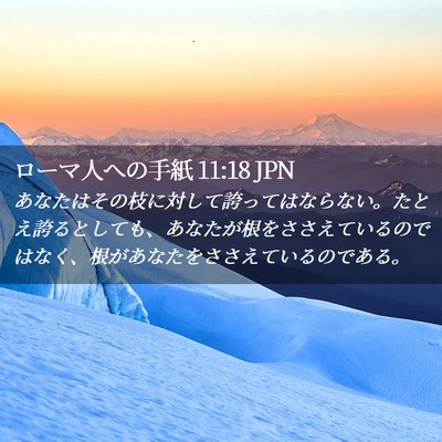 Picture 02 - ローマ人への手紙 11:18 JPN - あなたはその枝に対して誇ってはな - Bible Verse Picture