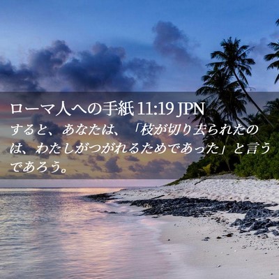 Picture 02 - ローマ人への手紙 11:19 JPN - すると、あなたは、「枝が切り去ら - Bible Verse Picture