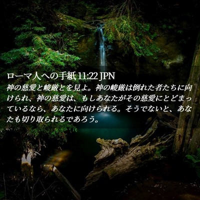 Picture 02 - ローマ人への手紙 11:22 JPN - 神の慈愛と峻厳とを見よ。神の峻厳 - Bible Verse Picture