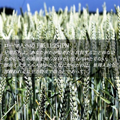 Picture 02 - ローマ人への手紙 11:25 JPN - 兄弟たちよ。あなたがたが知者だと - Bible Verse Picture