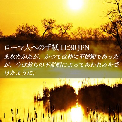 Picture 02 - ローマ人への手紙 11:30 JPN - あなたがたが、かつては神に不従順 - Bible Verse Picture