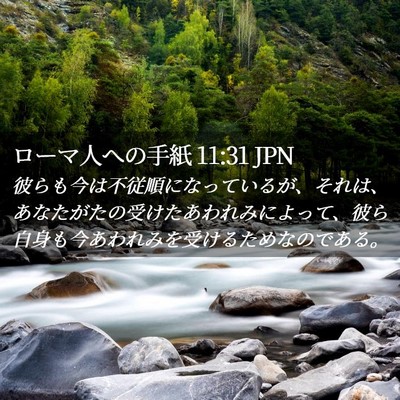 Picture 02 - ローマ人への手紙 11:31 JPN - 彼らも今は不従順になっているが、 - Bible Verse Picture