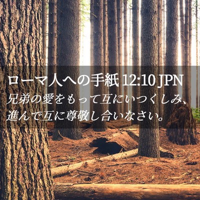 Picture 02 - ローマ人への手紙 12:10 JPN - 兄弟の愛をもって互にいつくしみ、 - Bible Verse Picture