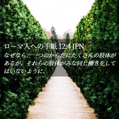 Picture 02 - ローマ人への手紙 12:4 JPN - なぜなら、一つのからだにたくさん - Bible Verse Picture