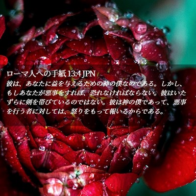 Picture 02 - ローマ人への手紙 13:4 JPN - 彼は、あなたに益を与えるための神 - Bible Verse Picture