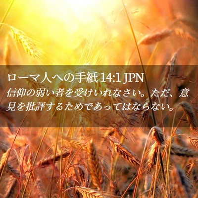 Picture 02 - ローマ人への手紙 14:1 JPN - 信仰の弱い者を受けいれなさい。た - Bible Verse Picture