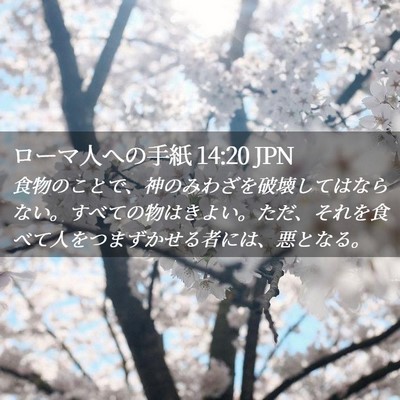 Picture 02 - ローマ人への手紙 14:20 JPN - 食物のことで、神のみわざを破壊し - Bible Verse Picture