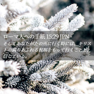 Picture 02 - ローマ人への手紙 15:29 JPN - そしてあなたがたの所に行く時には - Bible Verse Picture