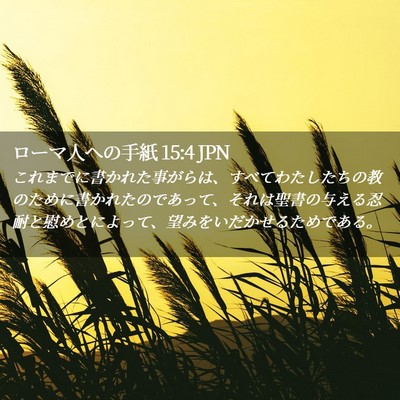 Picture 02 - ローマ人への手紙 15:4 JPN - これまでに書かれた事がらは、すべ - Bible Verse Picture