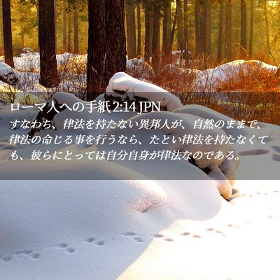 Picture 02 - ローマ人への手紙 2:14 JPN - すなわち、律法を持たない異邦人が - Bible Verse Picture