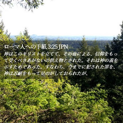 Picture 02 - ローマ人への手紙 3:25 JPN - 神はこのキリストを立てて、その血 - Bible Verse Picture