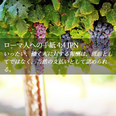 Picture 02 - ローマ人への手紙 4:4 JPN - いったい、働く人に対する報酬は、 - Bible Verse Picture