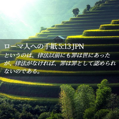 Picture 02 - ローマ人への手紙 5:13 JPN - というのは、律法以前にも罪は世に - Bible Verse Picture