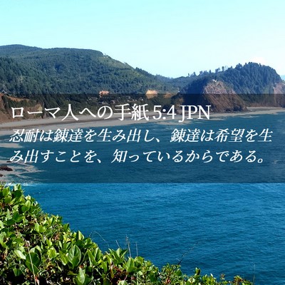 Picture 02 - ローマ人への手紙 5:4 JPN - 忍耐は錬達を生み出し、錬達は希望 - Bible Verse Picture