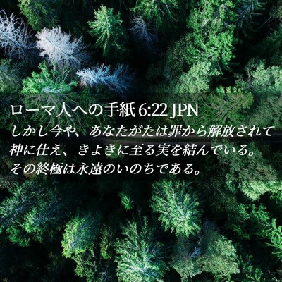 Picture 02 - ローマ人への手紙 6:22 JPN - しかし今や、あなたがたは罪から解 - Bible Verse Picture