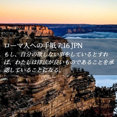 Picture 02 - ローマ人への手紙 7:16 JPN - もし、自分の欲しない事をしている - Bible Verse Picture