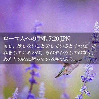 Picture 02 - ローマ人への手紙 7:20 JPN - もし、欲しないことをしているとす - Bible Verse Picture