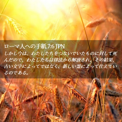 Picture 02 - ローマ人への手紙 7:6 JPN - しかし今は、わたしたちをつないで - Bible Verse Picture