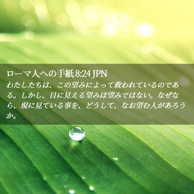 Picture 02 - ローマ人への手紙 8:24 JPN - わたしたちは、この望みによって救 - Bible Verse Picture