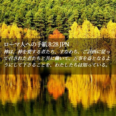 Picture 02 - ローマ人への手紙 8:28 JPN - 神は、神を愛する者たち、すなわち - Bible Verse Picture