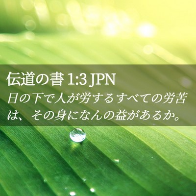 Picture 02 - 伝道の書 1:3 JPN - 日の下で人が労するすべての労苦は - Bible Verse Picture
