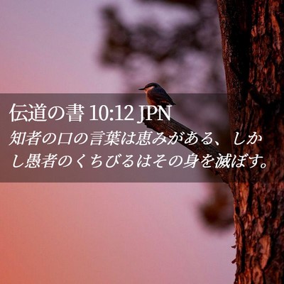 Picture 02 - 伝道の書 10:12 JPN - 知者の口の言葉は恵みがある、しか - Bible Verse Picture