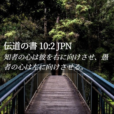 Picture 02 - 伝道の書 10:2 JPN - 知者の心は彼を右に向けさせ、愚者 - Bible Verse Picture