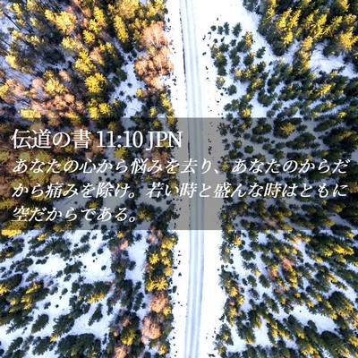 Picture 02 - 伝道の書 11:10 JPN - あなたの心から悩みを去り、あなた - Bible Verse Picture